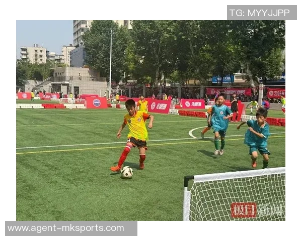 探索三人制足球场地的设计与布局对比赛的影响与发展潜力